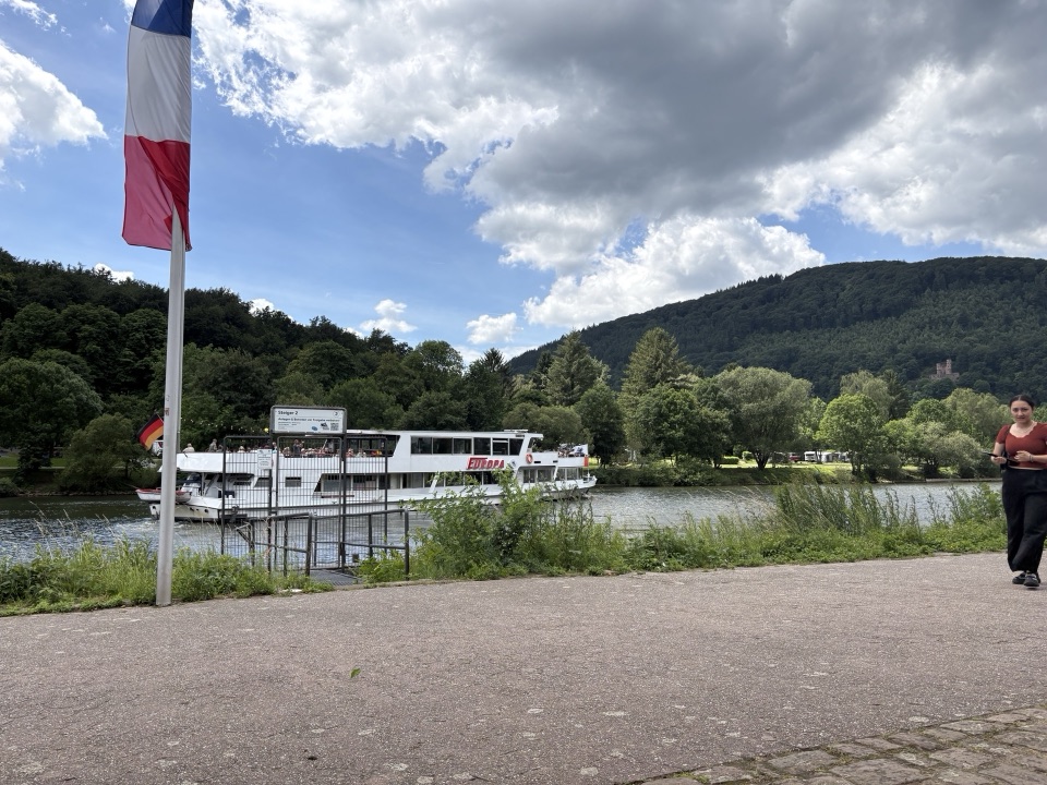 Heidelberg river