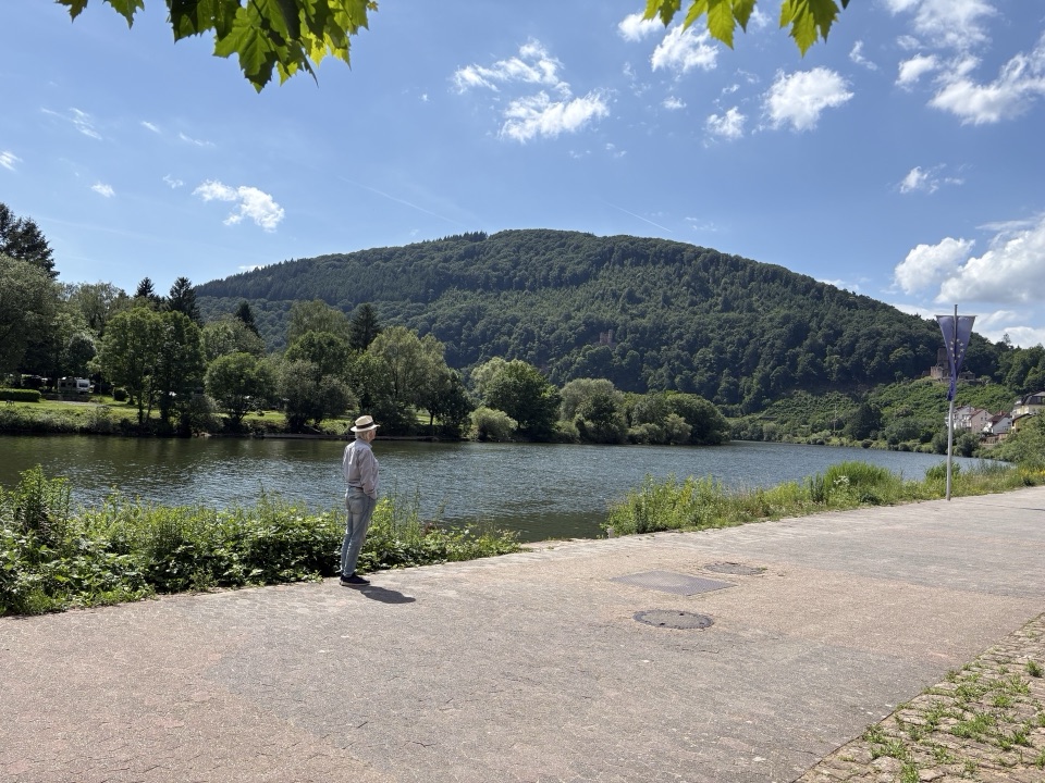 Heidelberg Neckar